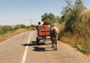 Férias, paragem? - Desafio perante a realidade.