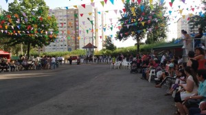 LARANJEIRAS GALERIA 33  