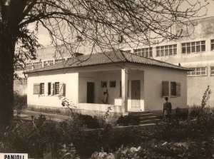 14- PANIOLI AV BENSAUDE